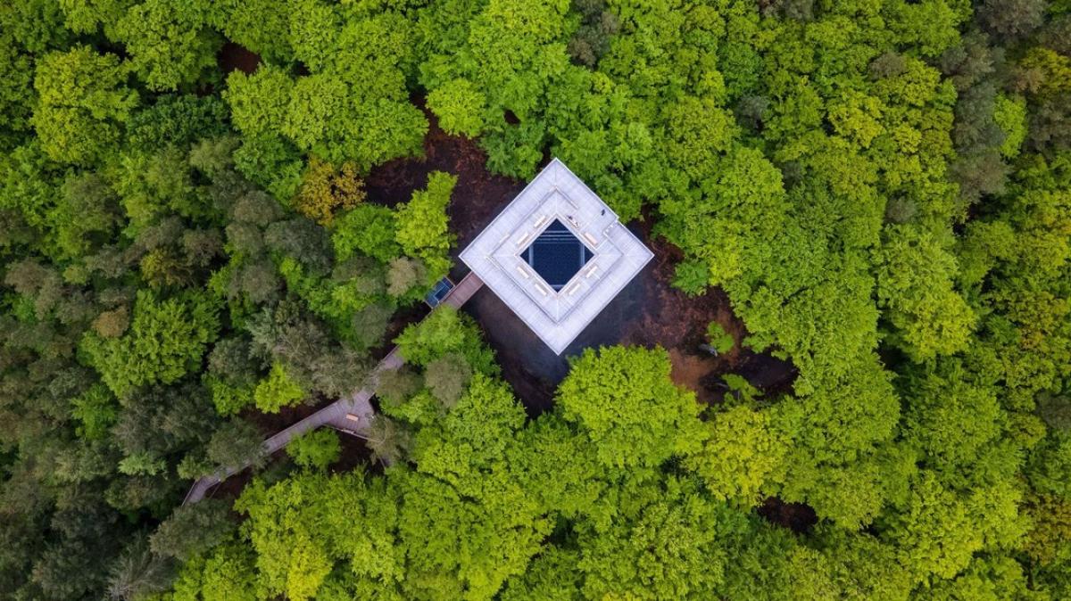 Baumwipfelpfad in Heringsdorf auf Usedom eingeweiht worden SVZ Baumwipfelpfad in Heringsdorf auf Usedom eingeweiht worden SVZ