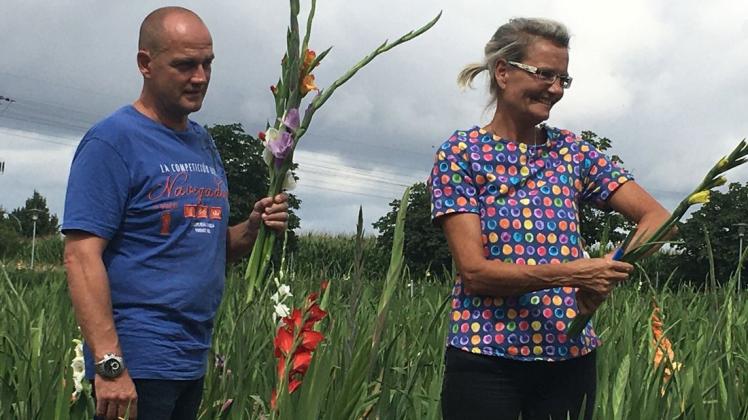 Schon Freude beim Aussuchen: Andreas Bombryck und Rika Peters suchen farbenprächtige Gladiolen aus.