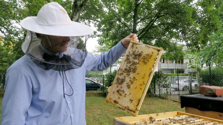Nico Davids hat Bienenstöcke und kann so Honig ernten.