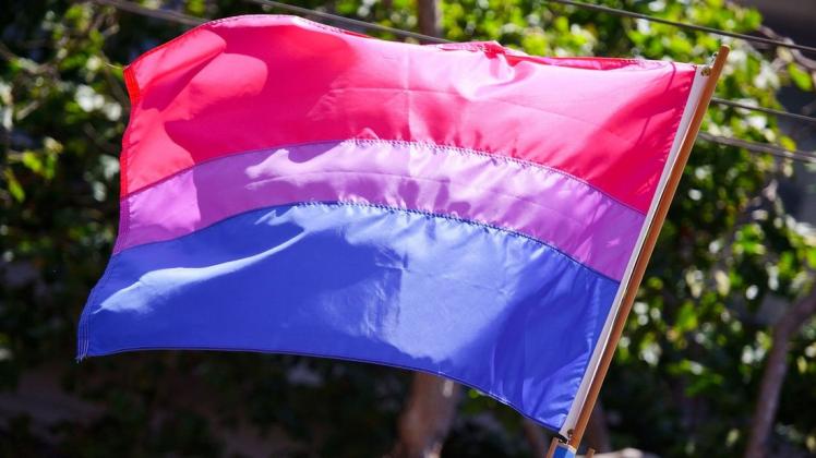 Der Pinneberger Hauptausschuss stimmte mehrheitlich gegen das Hissen der Bi-Pride-Flagge zum Celebrate Bisexuality Day.
