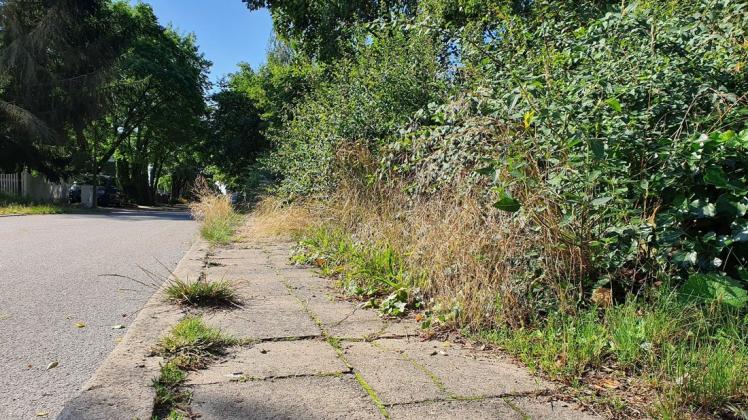Eher einen Hindernislauf als einen Spaziergang müssen Boizenburger derzeit bestreiten, wenn sie den Weg der Jugend betreten.