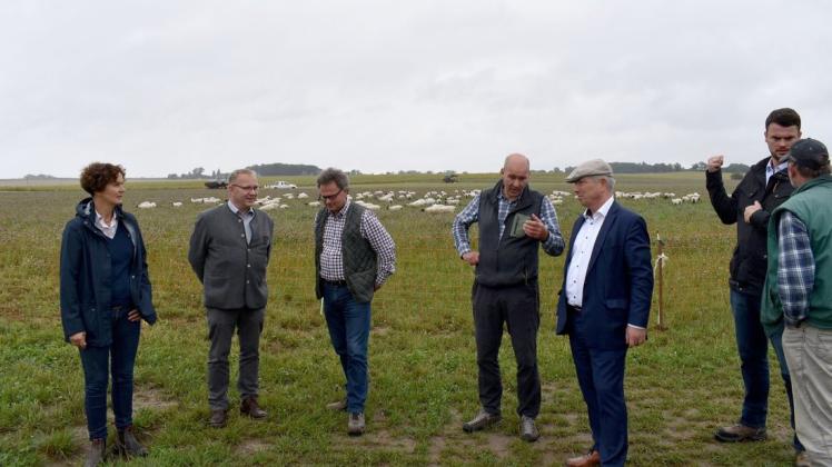 Eine Seltenheit in der Region, die Schafhaltung der Agrargemeinschaft Lübstorf, haben sich Petra Böttcher, Henning Piep, Daniel Bohl bei Henrik Rotermann (v.l.) und seinem Bruder Hansjörg (r.) gemeinsam mit Thomas Beyer und Tino Schomann (2.v.r) vor den Toren Schwerins angesehen.