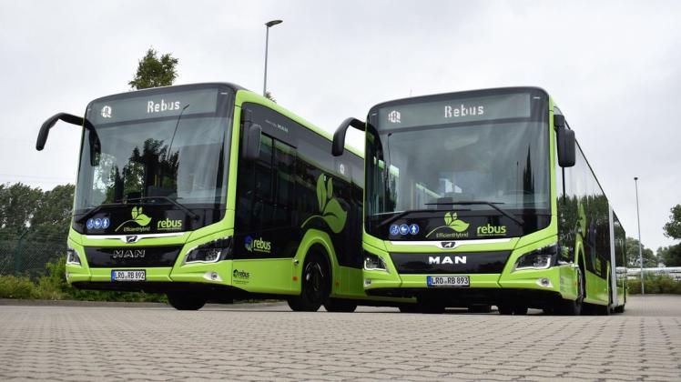 Die beiden grünen Gelenkbusse von Rebus sind Hybridmodelle und damit umweltfreundlicher.