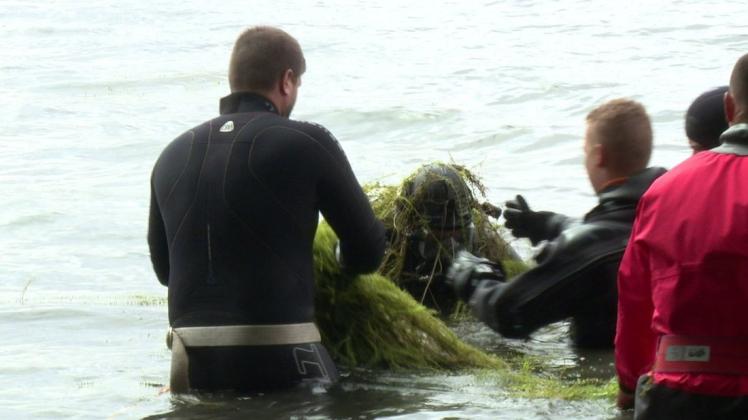 Während der Suchaktion nach dem verunglückten Jungen im Lankower See haben die Taucher bergeweise Kraut an Land gebracht. Wirklich gefährlich werden können die Wasserpflanzen guten Schwimmern aber nicht.
