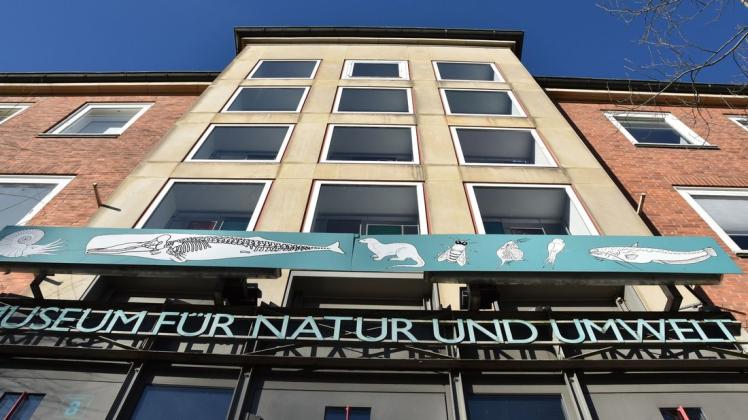 Museum Für Natur Und Umwelt Museum für Natur und Umwelt Lübeck: Kostenfreier Vortrag über | SHZ