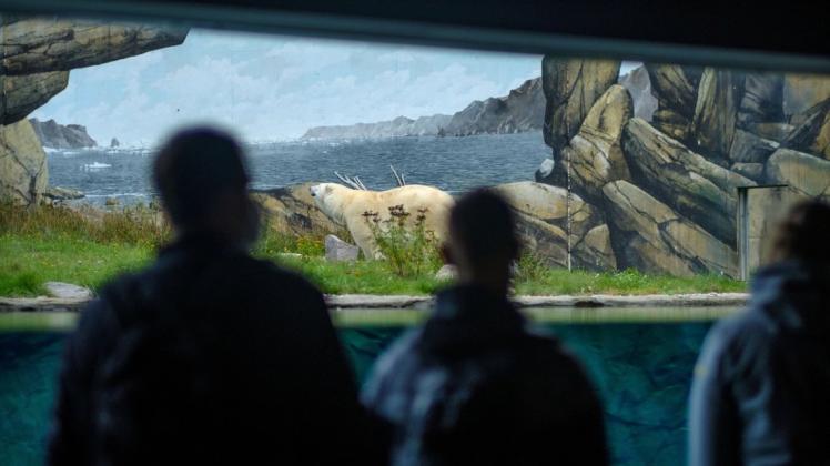 Wie auch in den vergangene Jahren erwies sich das Polarium mitsamt Eisbären-Gehege als echter Besuchermagnet.