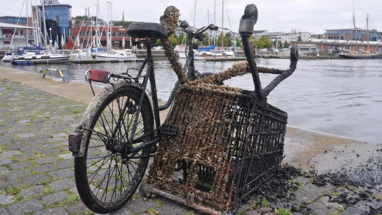 Metallschrott wie Fahrräder und Einkaufswagen wurden beim diesjährigen Kustenputztag am Wochenende im Rostocker Stadthafen aus dem Wasser gezogen. Umweltaktivisten beklagen nun, dass eine Kunstinstallation beklagt wurde.