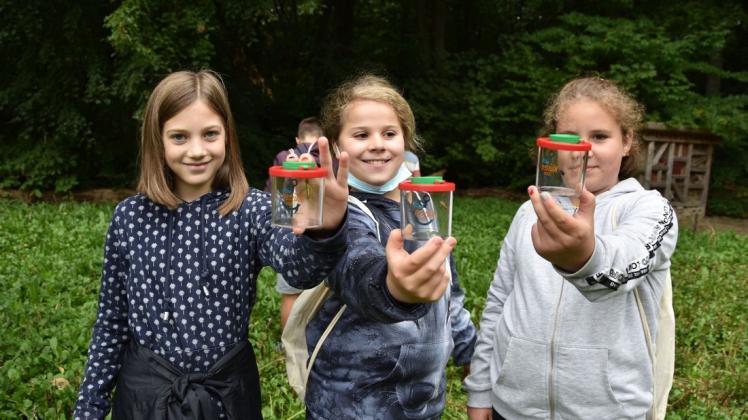 Verschiedene Insekten konnten Eni (v.l.,11), Olivia (11) und Lilli (11) im Rostocker Zoo entdecken und in einem Glas begutachten.
