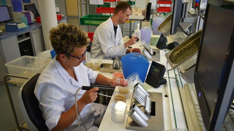 Im MQD-Institut für Analytik, Hygiene und Produktqualität bereiten Carolin Harlof und Thomas Wiechert Lebensmittelproben für verschiedene Test vor.