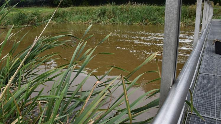 Noch wird in der Abwasseranlage Dragun im Auftrag der Gemeinde das Wasser geklärt. Im Januar übernimmt der Zweckverband Radegast diese Aufgabe.