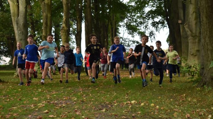 Wer ist am schnellsten beim Crosslauf? Die Schüler der Boizenburger Grundschule "An den Eichen" gaben im Stadtpark wieder alles.