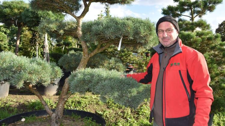 Inhaber Mario Harsdorf kennt alle seine Pflanzen in der Baumschule und weiß, was man bei der Pflege alles beachten muss. Die rund eine Tonne schwere Kiefer wird er die kommenden Tage in einen Garten in Schwerin pflanzen. Inhaber Mario Harsdorf kennt alle seine Pflanzen in der Baumschule und weiß, was man bei der Pflege alles beachten muss. Die rund eine Tonne schwere Kiefer wird er die kommenden Tage in einen Garten in Schwerin pflanzen.