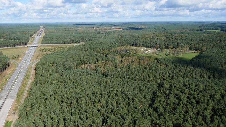 Wenn Investoren kommen, soll dieser Wald bei Grabow weichen. Dagegen kämpft der Bund für Umwelt und Naturschutz (BUND).