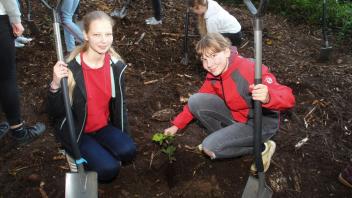 Bäume pflanzen für die Umwelt: Die 13-jährigen Schülerinnen Sophia und Ann-Kathrin mit ihrer Traumeiche an der Laeregge in Bad Iburg.