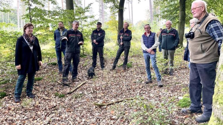 Der Forstamtsleiter von Gädebehn Ingo Nadler (3.v.l.) erklärt, welche Vorteile die Bewirtschaftung des Waldes auch für den Zustand der Bäume bewirkt.