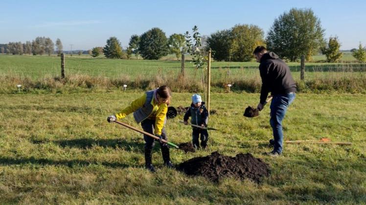 Gemeinsam hoben die Kinder mit ihren Eltern die Pflanzlöcher auf der Obstwiese am Hilgenland aus.
