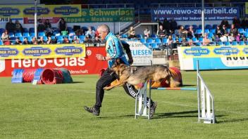 Schnelligkeit, aber auch Geschicklichkeit von Hund und Mensch waren bei den Prüfungen in Meppen gefragt.