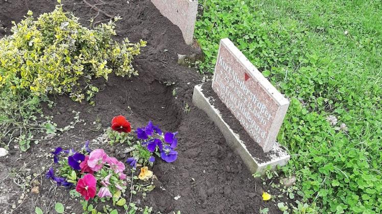 Immer öfter werden Gräber auf dem Friedhof der Opfer des Faschismus Opfer von Vandalismus