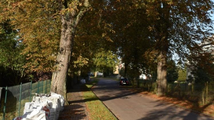 Das Laub der Straßenbäume wird in Zahrensdorf wieder viele Säcke füllen. Das Laub der Straßenbäume wird in Zahrensdorf wieder viele Säcke füllen.