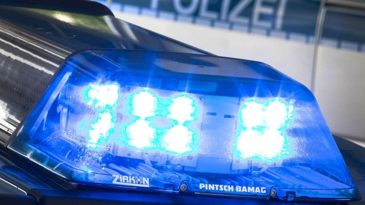 Norderstedt Einbrecher Schleppen Baumaschine Aus Einem Container SHZ