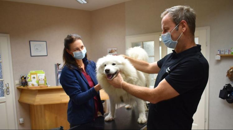 Tierarzt Olaf Freudenberg und Maren Rodd haben Lilly, eine Samojeden-Hündin auf dem Untersuchungstisch.