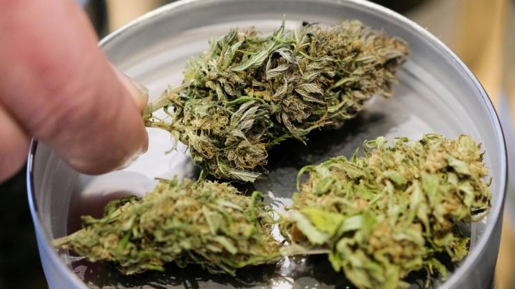 Wegen 25 Kilogramm Cannabis haben die beiden Wittenberger Drogenkuriere jetzt eine Freiheitsstrafe bekommen.