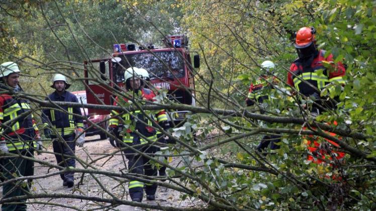 Alle Hände voll zu tun hatten die Freiwilligen Feuerwehren, um Sturmschäden zu beseitigen. Hier die Mestliner Kameraden auf der Straße zwischen Groß Niendorf und Mestlin, wo zwei Bäume zu beseitigen waren.