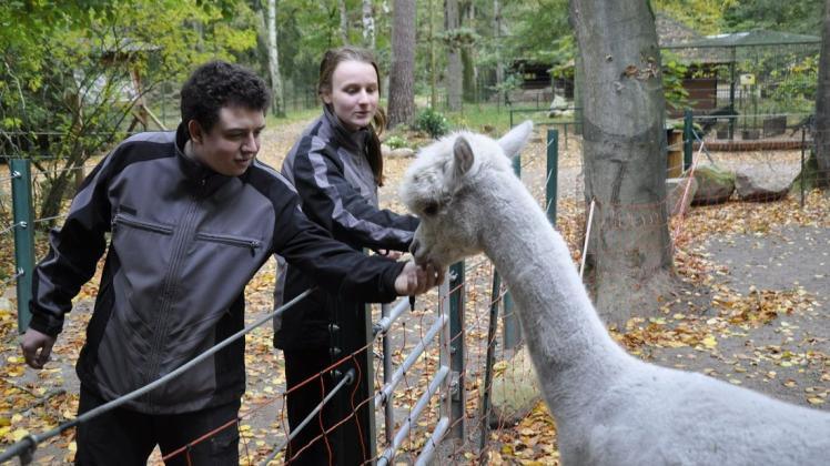 Julian Jaworski und Lea Böttcher sind die ersten FÖJler im Perleberger Tierpark