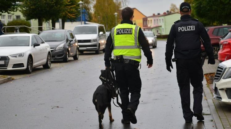 Nach weiteren Einbruchsdelikten in Gadebusch setzte die Polizei auch einen Fährtenhund ein. Nach weiteren Einbruchsdelikten in Gadebusch setzte die Polizei auch einen Fährtenhund ein.
