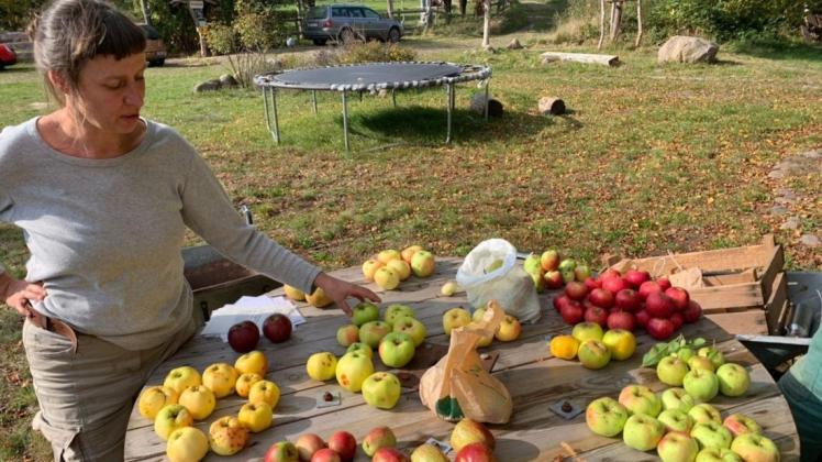 Ulrike Gisbier kennt sich mit alten Apfelsorten aus.