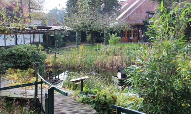 „Naschkes Garten“ Papenburg So entstand er und das wird daraus