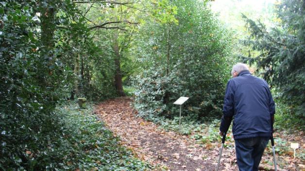 „Naschkes Garten“ Papenburg So entstand er und das wird daraus