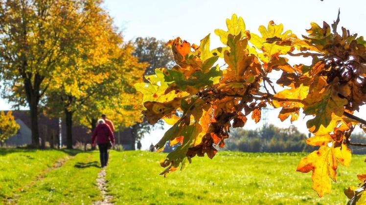 Viele Menschen nutzten die Herbstsonne für ausgedehnte Spaziergänge.