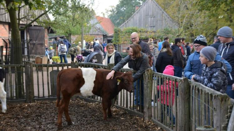 Im Tierpark Nordhorn findet wieder am 7. November wieder ein Zootag statt.