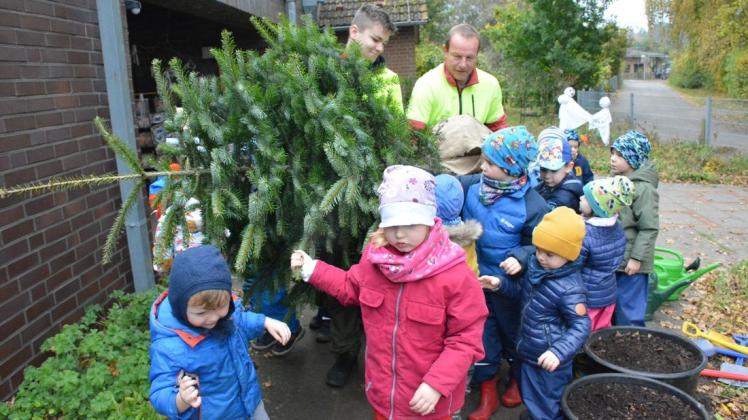 Gemeinsam zum Ziel: Revierförster Volker Lüdtke schleppt den Baum zusammen mit den Kindern zum vorbereiteten Pflanzloch.