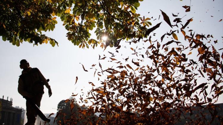 Ein Mann bläst auf dem Oberen Schlossgarten in Stuttgart mit einem Laubbläser herbstlich gefärbte Blätter durch die Luft.