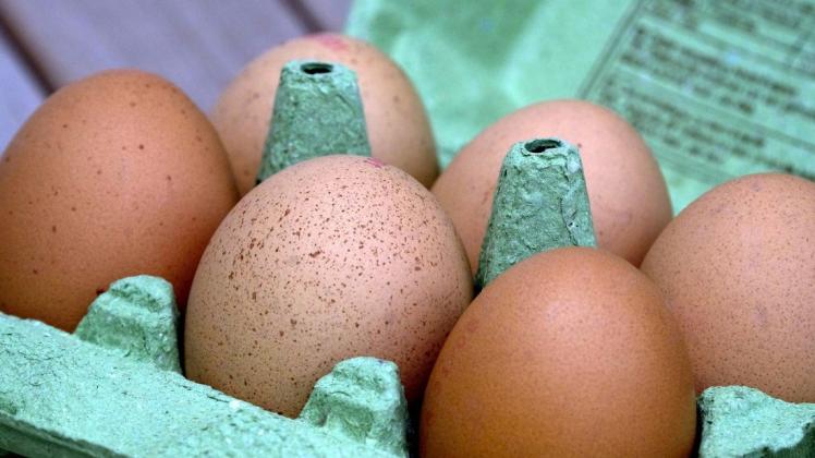 Eier in einer Eier-Packung (Symbolbild)