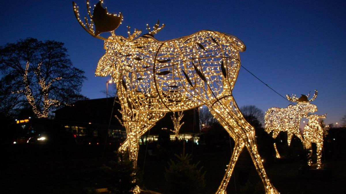 LübeckTravemünde Weihnachten Programm Trelche Aktionen Markt SHZ