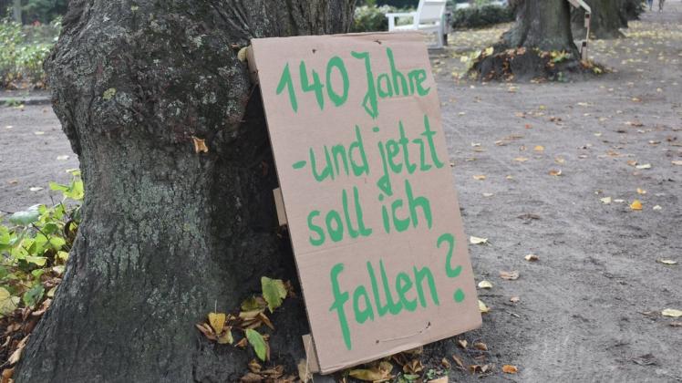 Stiller Protest im Rostocker Rosengarten gegen die angekündigte Fällung von fünf alten Linden.