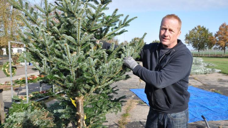 Seit Anfang der Woche bietet Yves Piehl die ersten Weihnachtsbäume an. Aus diesem Baum macht er Grünschnitt für Gestecke und Grabschmuck.