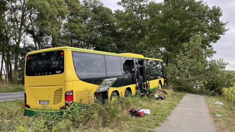 Aus bislang ungeklärter Ursache rauschte dieser Bus von der Fahrbahn in den Grünstreifen und stoppte an einem Baum.