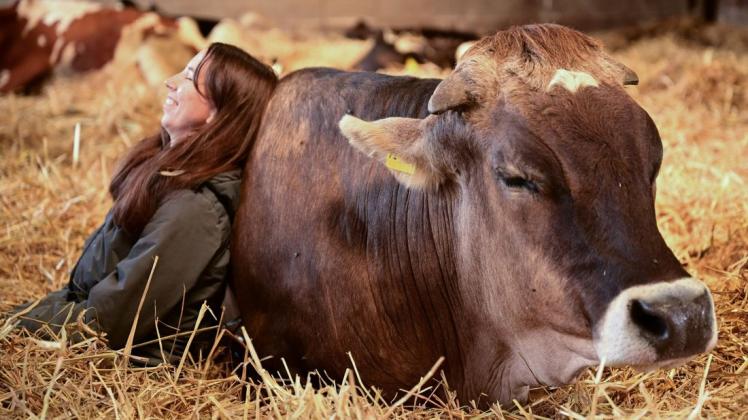 Laura Morschett macht es vor: Beim Kuscheln mit Kühen lässt es sich wunderbar entspannen.