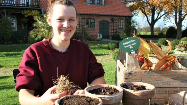 Mina Bucher pflanzt die Maiglöckchenwurzeln für den Winter in Töpfe. Sie absolviert auf dem Kastanienhof ein freiwilliges ökologisches Jahr.