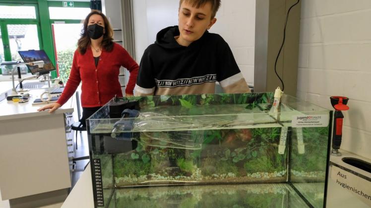 Schüler an der Thomas-Morus-Schule in Osnabrück haben ein Kühlsystem für das Schulaquarium entwickelt, um die Wassertemperatur im Hochsommer regulieren zu können. Thore Kaersch und Lehrerin Ulrike Hörnschemeyer zeigen, wie es funktioniert.