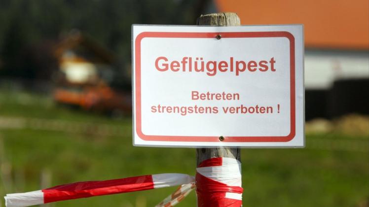 Der Fachdienst Veterinär- und Lebensmittelüberwachung des Landkreises Ludwigslust-Parchim warnt vor der Gefahr der Geflügelpest.