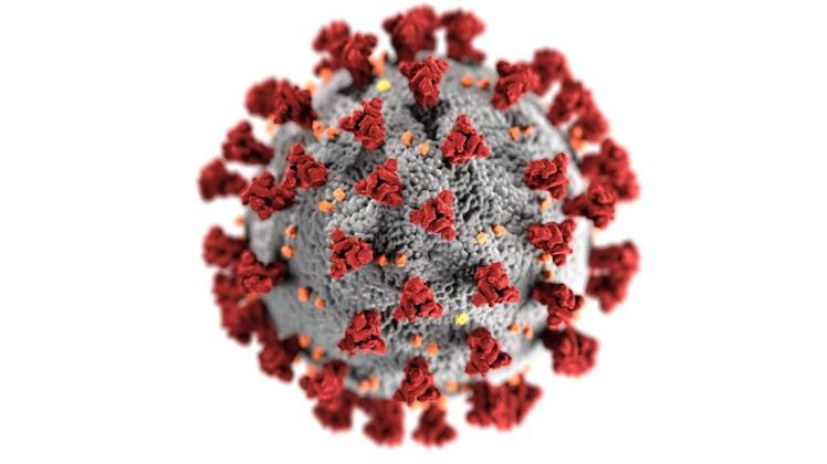 Das Coronavirus breitet sich wieder schneller aus in Neumünster.