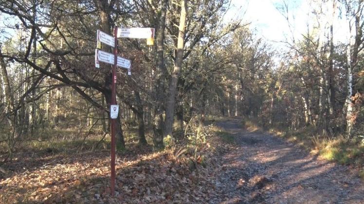 Hält sich der geflohene Straftäter immer noch in dem Waldgebiet zwischen Ueffeln und Neuenkirchen auf?