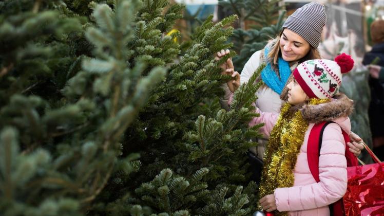 Weihnachtsbaumkauf ist eine schöne Sache, die gern in Familie erledigt wird.