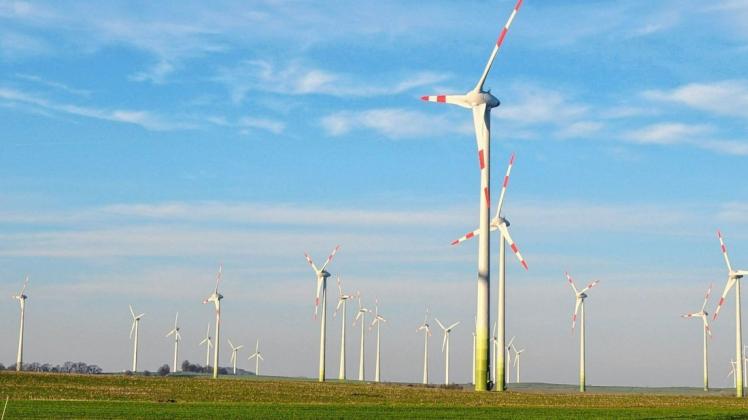 Bei Lübz plant ein Rostocker Unternehmen einen Windkraftpark.
