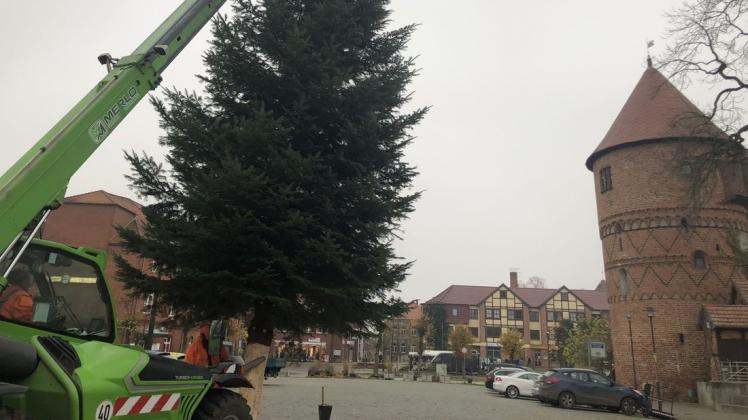 Mit einem Radlader wurde der Weihnachtsbaum auf dem Markt in Position gebracht.